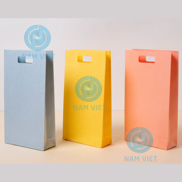 Túi giấy shop thười trang